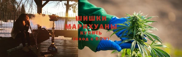 амф Осташков