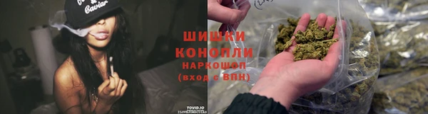 амф Осташков