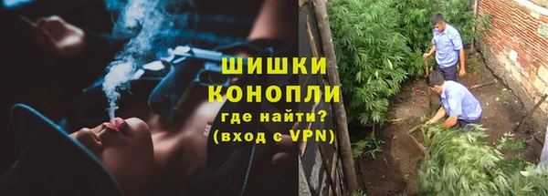 амф Осташков