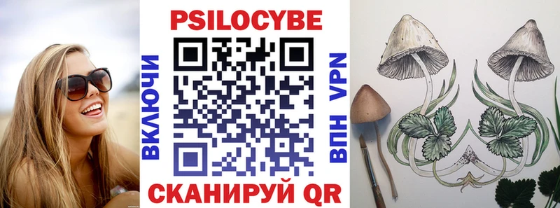 Галлюциногенные грибы Psilocybe Красный Сулин