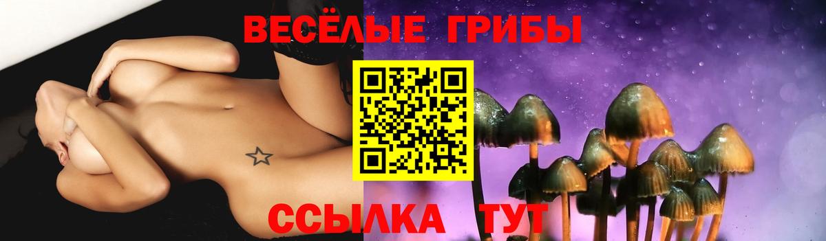 Красный Сулин  Галлюциногенные грибы Psilocybe  Псилоцибиновые грибы Psilocybine cubensis  Вход с VPN 
